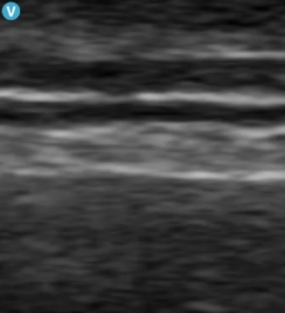 2105632051 64e592910716b Ec9db4ebafb8eca780 141