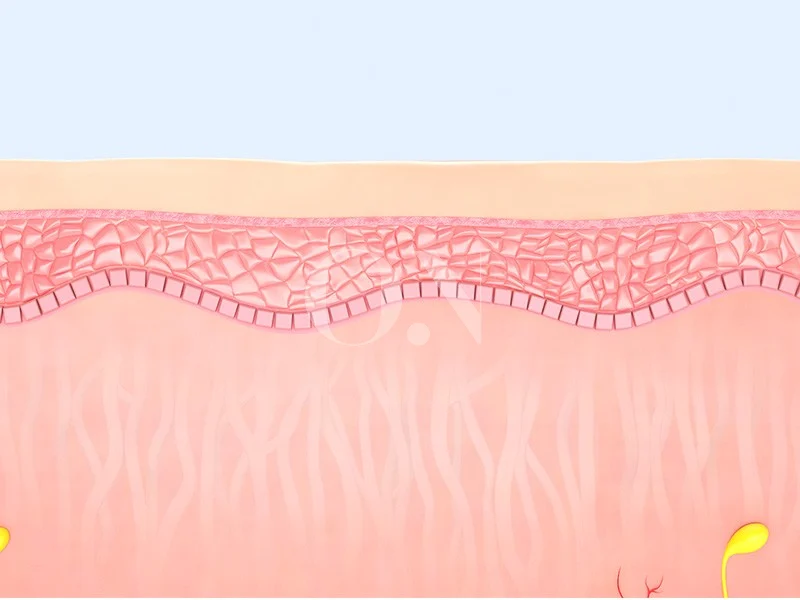 3697191616 6721cb2748533 Edit 2105632051 6441f4af65128 Ec8b9cec88a0ec9b90eba6ac Crop