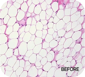 3717368605 67b43bb460364 Eab081eca3bcec82aced9aa8eab3bc 1