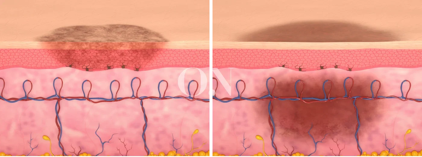 2105632051 657a9ff5ea11c Edit 2105632051 644a06b3d59ff Eab7b8eba3b9 394