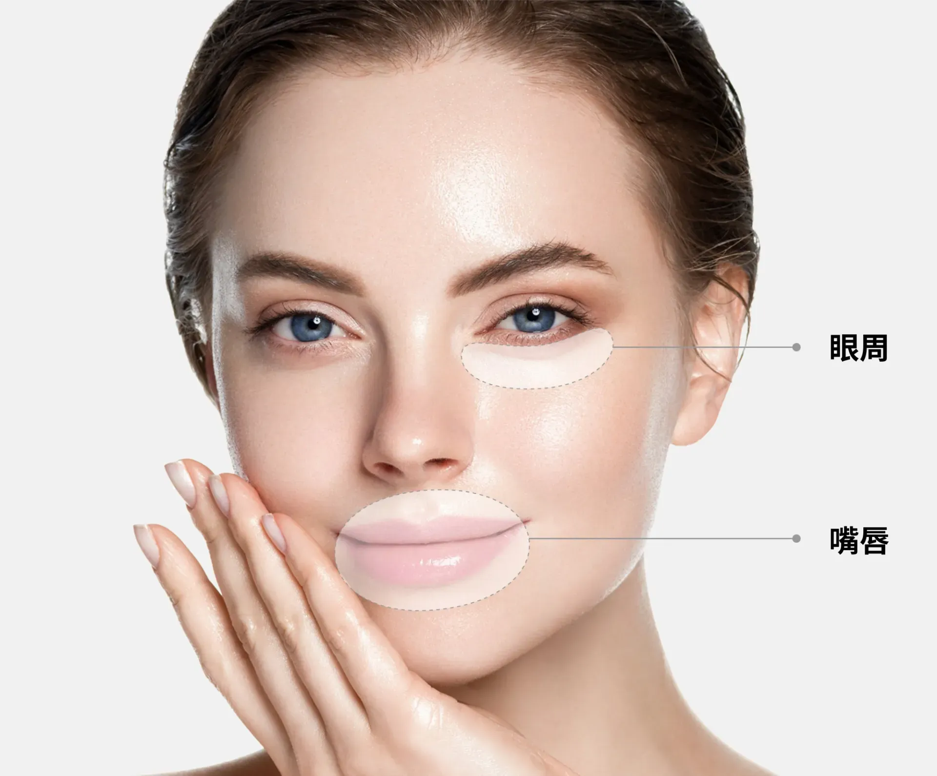 你的段落文字 8