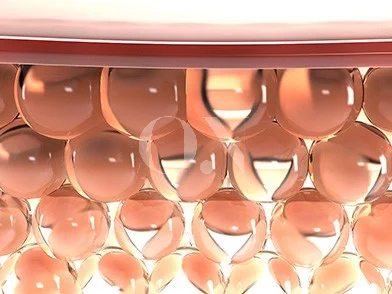 3697191616 6721ca74d5639 Edit 2105632051 6441f451214da Ed8ab9ebb384ed95a8 Crop