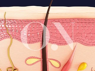 2105632051 657a9d0bc51ae Edit 3661049391 64f1be8d7a93c Pdteab3bceca095 4