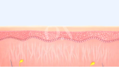 3697191616 6721c9dc74545 Edit 2105632051 64faed49687c7 Ed9584eb9fac004