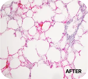 3717368605 67b45159d1a6c Eab081eca3bcec82aced9aa8eab3bc 2