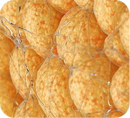 3717368605 67b44c5fea3be Eab081eca3bcec82ac Eab3bceca095 2