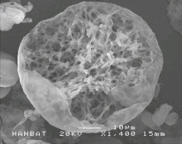 2105632051 Cy61iqvh 2105632051 Pqa8ng4x Ec9b90ed9895 2