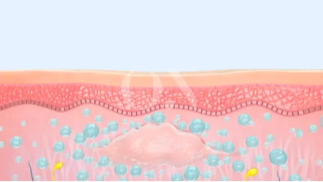 3697191616 6721c9d0c78c8 Edit 2105632051 64faed3e8cecf Ed9584eb9fac003