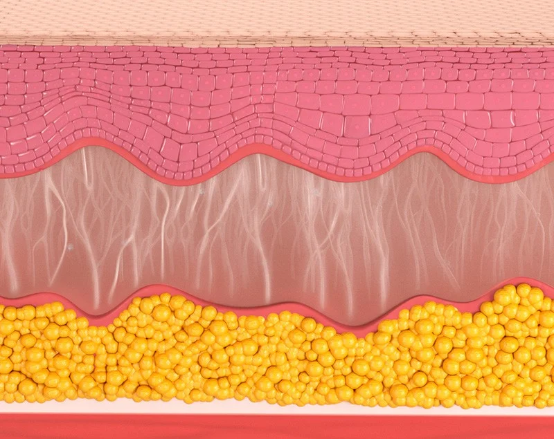 2105632051 641d3e5cc0fda Ed9aa8eab3bc