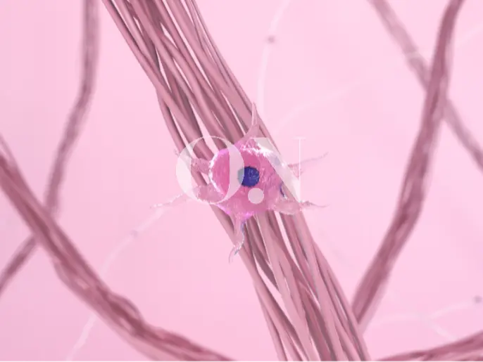 2105632051 657a99a948665 Edit 2105632051 64e44c03ceff2 Ec8bb1ec8bb1ed959c Ec84acec9ca0 Ec9584ec84b8ed8fac 26 Ecbd9ceb9dbceab290 01