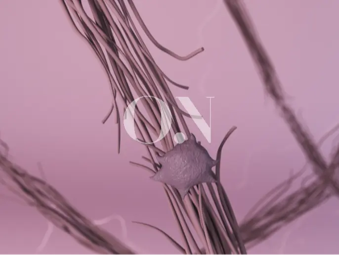 2105632051 657a99391ca41 Edit 2105632051 64e44bf4a45d6 Eca3bdec9d80 Ec84acec9ca0ec9584ec84b8ed8fac 26 Ecbd9ceb9dbceab29003