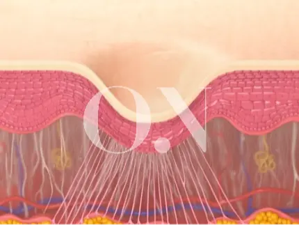 2105632051 657aa10288fc5 Edit 3661049391 650917daf2524 Eba1a4eba781ed9d89ed84b0